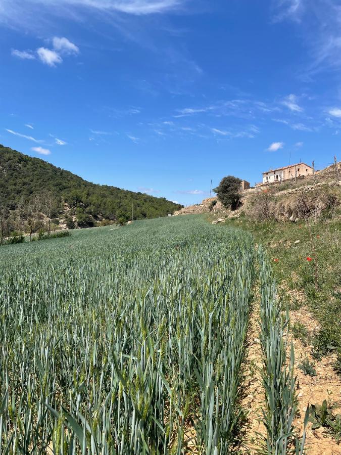 מורייה Masia La Perera מראה חיצוני תמונה